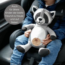 Lade das Bild in den Galerie-Viewer, Willi der Waschbär