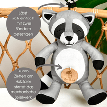 Lade das Bild in den Galerie-Viewer, Willi der Waschbär